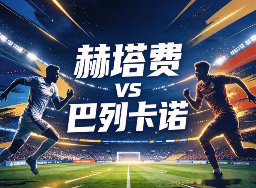 专业立即博服务