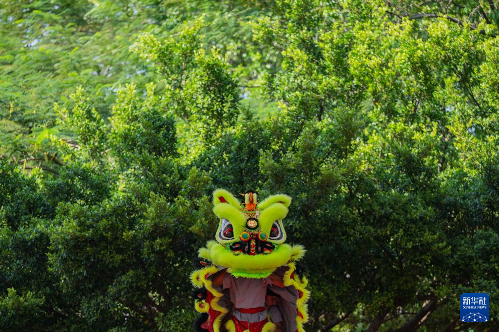 立即博介绍图片