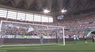 1792282593272077277.gif 立即博相关图片