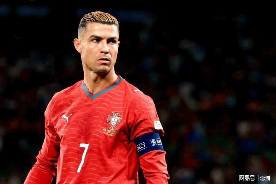 立即博介绍图片